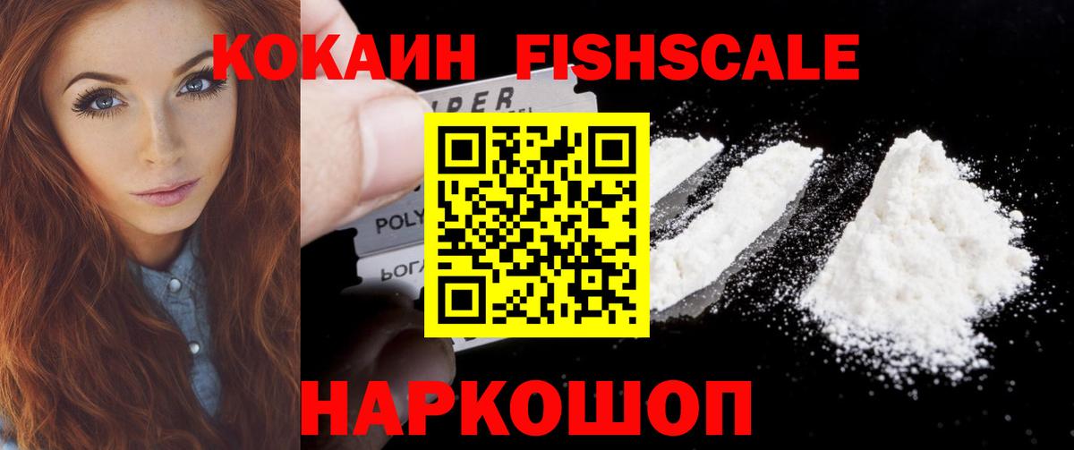 где купить наркоту  COCAIN  Котлас  Кокаин Fish Scale  Вход с VPN  COCAIN Columbia 