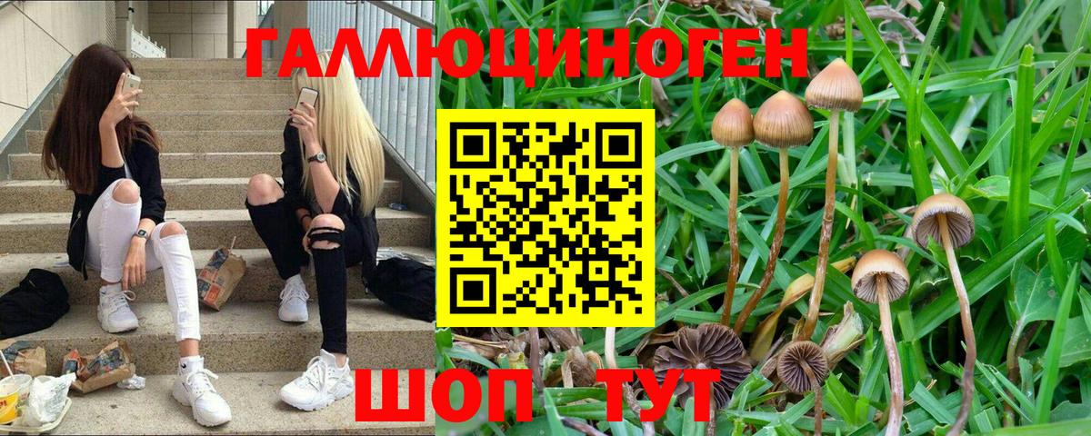 Псилоцибиновые грибы Magic Shrooms  Вход с VPN  Котлас  Псилоцибиновые грибы прущие грибы 
