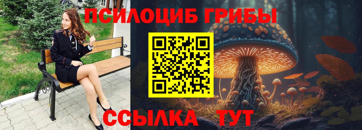 Галлюциногенные грибы Psilocybe Котлас